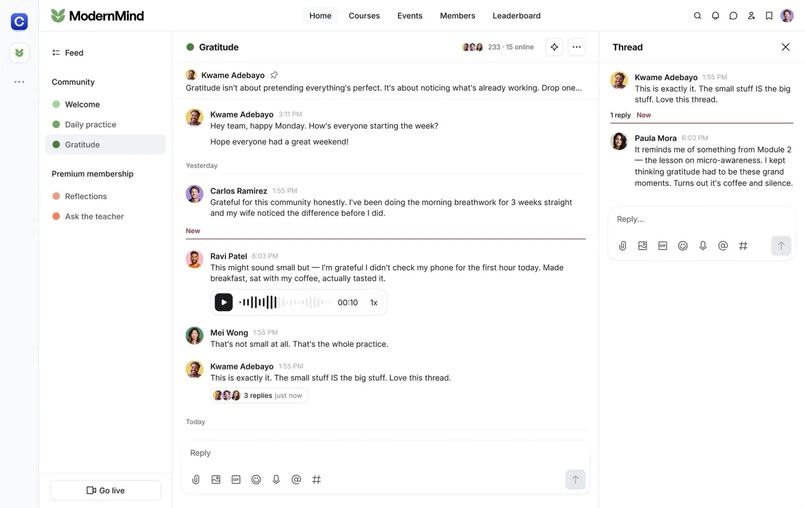 Conversación de ejemplo entre miembros en un espacio de comunidad de Circle